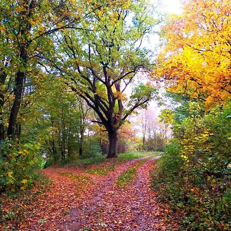 Domecek U Svestku * Cizov (South Moravian)